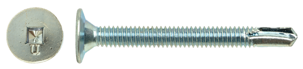 TSW-HEAD-BODY